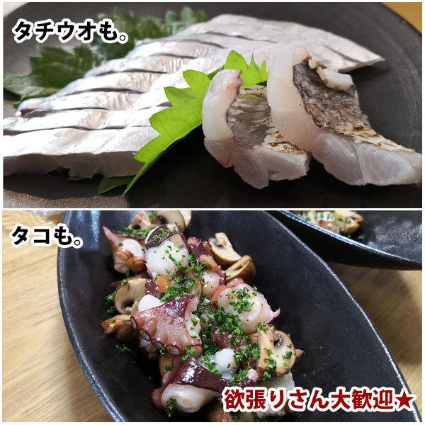 Dios チェベレ タチタコ 180 船太刀魚テンヤ＆船タコエギを1本で