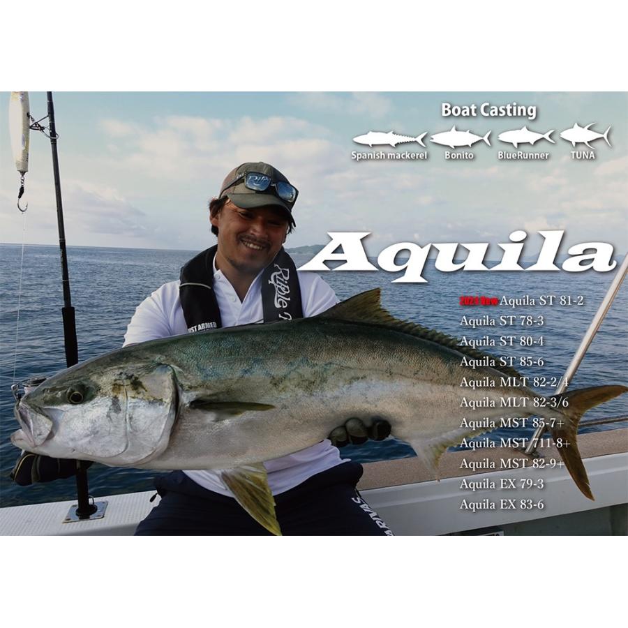 RippleFisher Aquila ST 81-2 リップルフィッシャー アクイラ 青物 