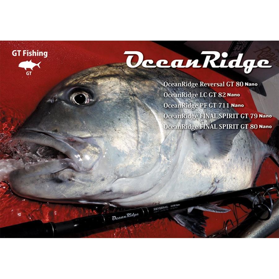 リップルフィッシャー Ocean Ridge PF GT 711 Nano DAIWA（ダイワ