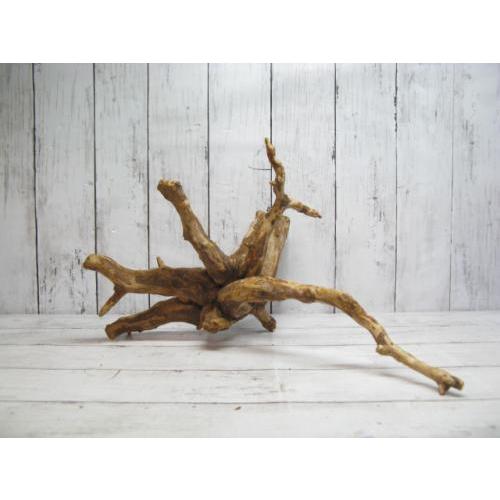 天然枝流木 Uws スマトラウッド L 10 アク抜き処理済 フィッシュジャパン 通販 Yahoo ショッピング