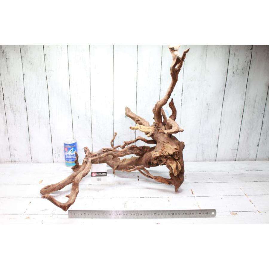 奇跡の流木 鮫モデル　流木 Driftwood 流木 - Download Free 3D model by DIGITALCA ディジタルカ