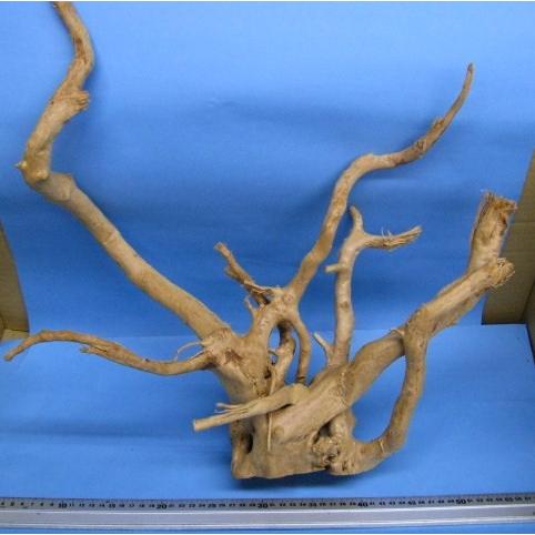 天然枝流木 アク抜き処理済 Z04 Prettyfunnyballoons Com