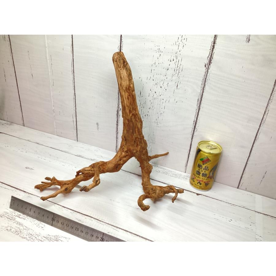 MRW-1307 特大天然流木 【公式通販】