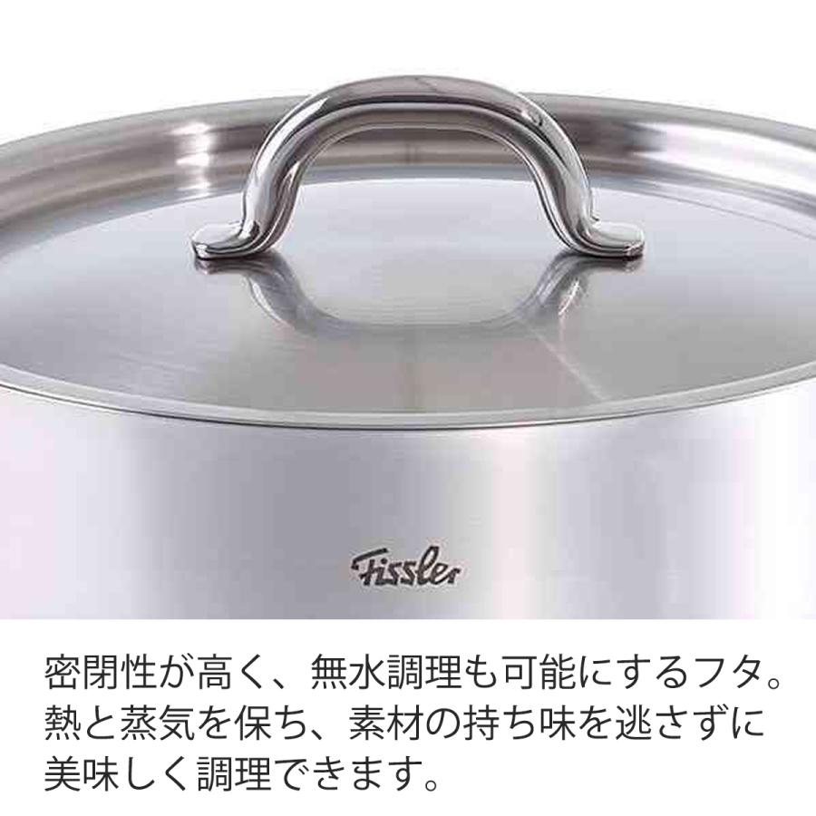 フィスラー 両手鍋 ファミリーライン キャセロール 20cm Ih対応 ガス火対応 フタつき Fissler メーカー公式 ステンレス製 ロースター オーブン 33 120 20 33 120 20 フィスラーオンラインショップ 通販 Yahoo ショッピング