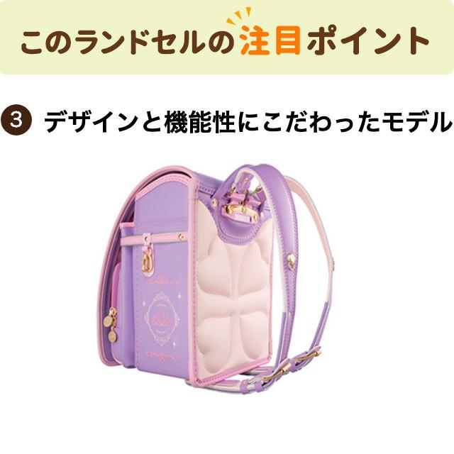 Childhood Assassination Healthy Food フィット ちゃん シャイニー プリンセス Roadmap Jp