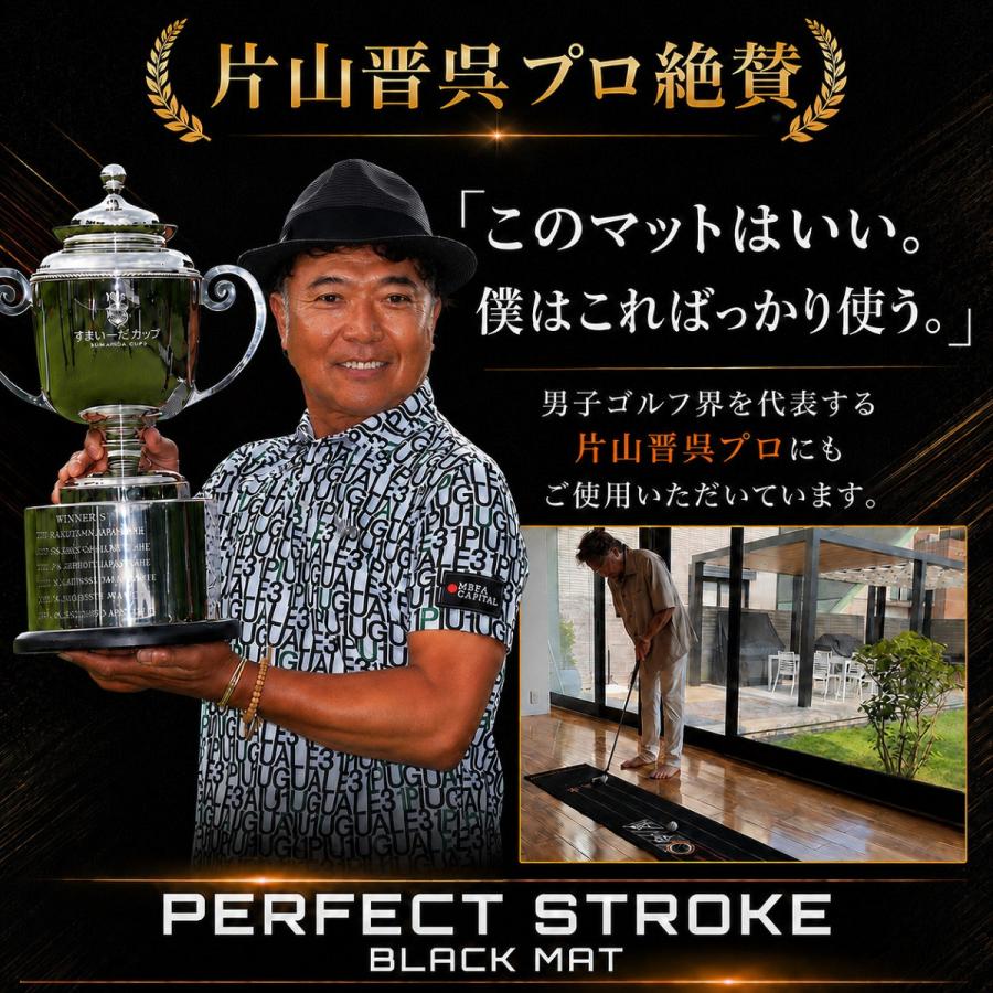 PERFECT STROKE（パーフェクトストローク） 【9月下旬入荷】片山晋呉