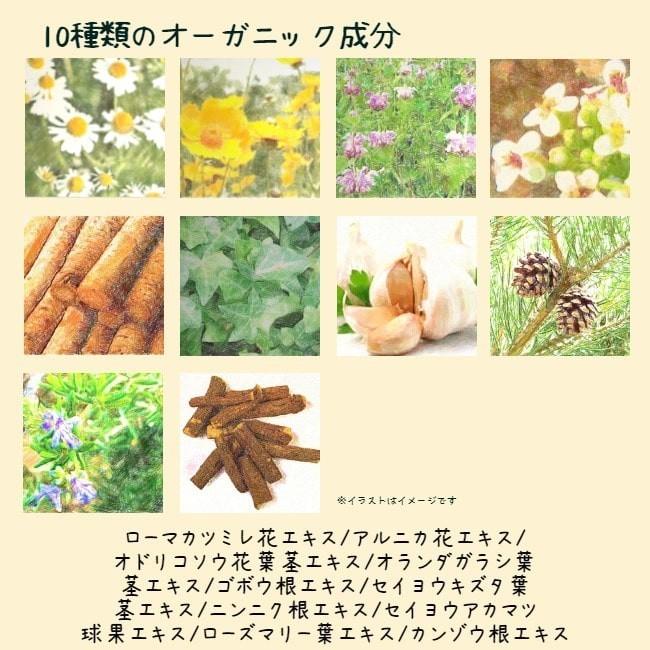 コレクション 花 ニンニクガラシ 花 ニンニクガラシ