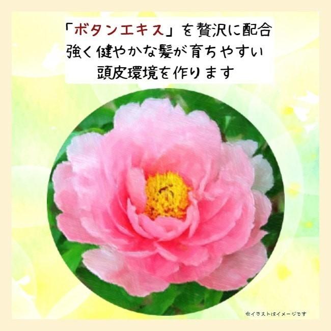 【送料無料】デイズシャンプー（220ｍｌ）トリートメント（200ｇ）お得セット |  | 02