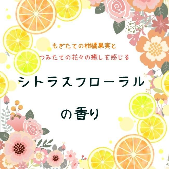 【送料無料】デイズシャンプー（220ｍｌ）トリートメント（200ｇ）お得セット |  | 06