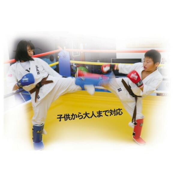 イサミ シンガードTS ISAMI レッド ブラック ブルー S M L 格闘技 トレーニング 保護 防御の画像