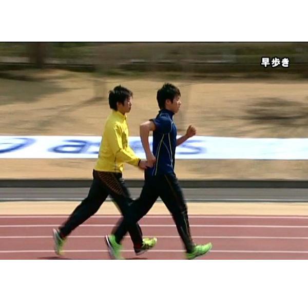 ジャパンライム - ヴィデオディスク  あらゆる運動選手を育てる 早稲田流・駈けっくら編成替え 〜見る間に、能率よく走る利巧の行動論理とせん孔機〜  代引っ張ること不可