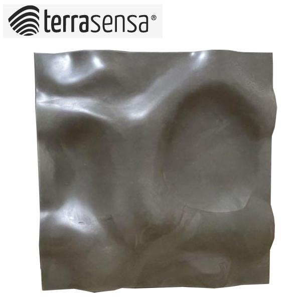 テラセンサ コアバランス 介護予防器具 代引不可 terrasensa テラセンサ コアバランス 介護予防器具 代引不可 terrasensa