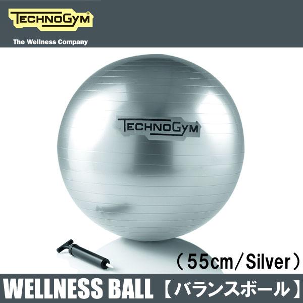 テクノジム バランスボール 55cm WELLNESS BALL メーカー直送品 送料