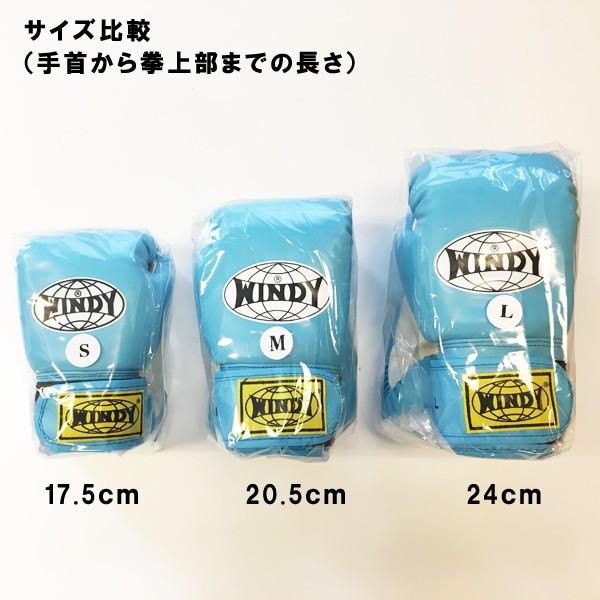 ウィンディ キッズ用ボクシンググローブ Sサイズ（小学校低学年用