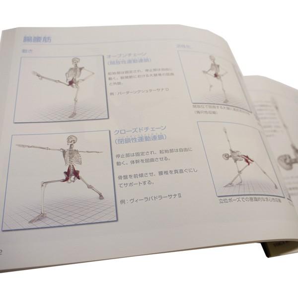 図解YOGAアナトミー 筋骨格編 UTL アンダーザライト ヨガの教科書