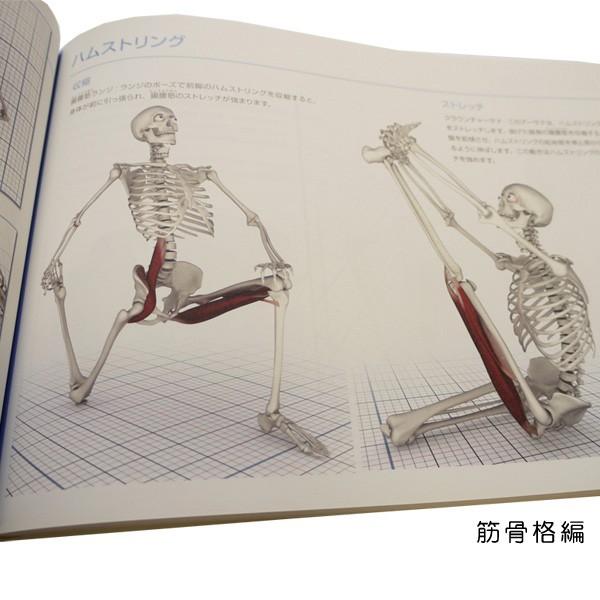 図解YOGAアナトミー 筋骨格編 UTL アンダーザライト ヨガの教科書