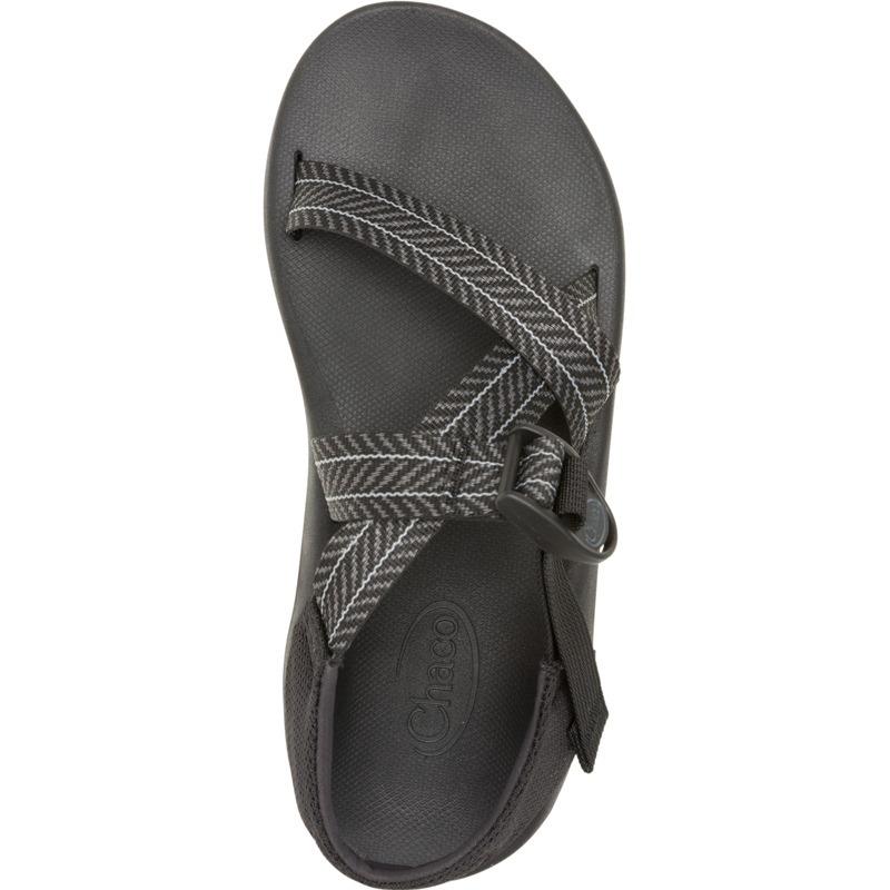 CHACO（チャコ） Chaco CUSHZ - FROND BLACK 12366183007 : FIT TWO