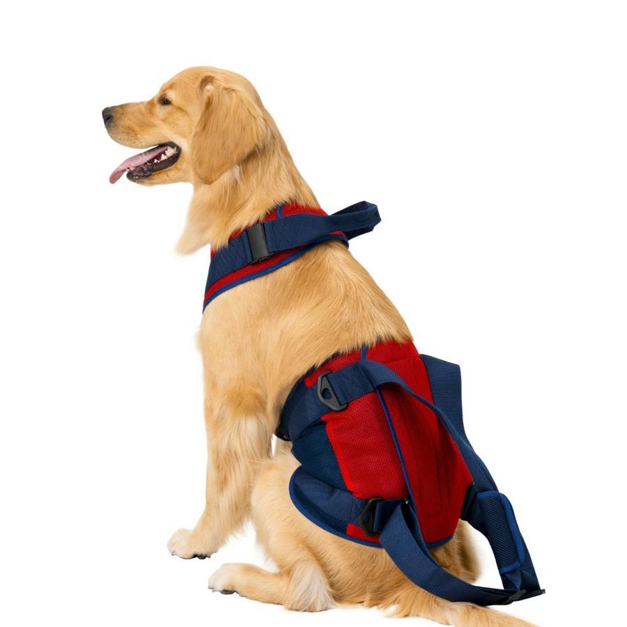 歩行補助ハーネス LaLaWalk 大型犬用  スカーレットメッシュ 高齢犬 散歩 後ろ足 シニア犬 介護用品 ララウォーク_2