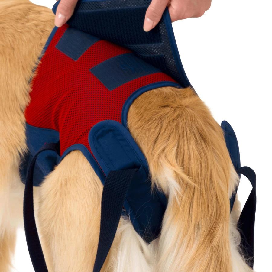 LaLaWalk（TOMBOW） 歩行補助ハーネス LaLaWalk Hip 大型犬用