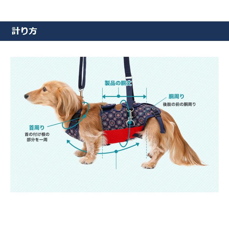 LaLaWalk（TOMBOW） 歩行補助ハーネス LaLaWalk 小型犬・ダックス用
