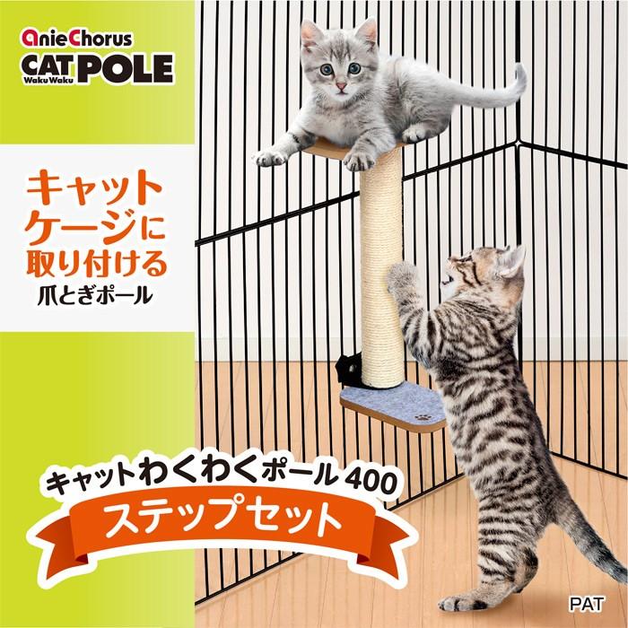 VRTXバンド　セット　ネコ吉様用 アニーコーラス（AnieChorus） キャットわくわくポール400 ステップ