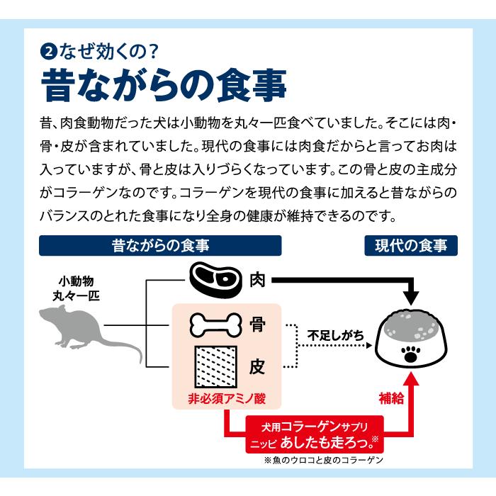 犬用サプリメント ニッピ あしたも走ろっ。 牛由来 160g 健康補助食品