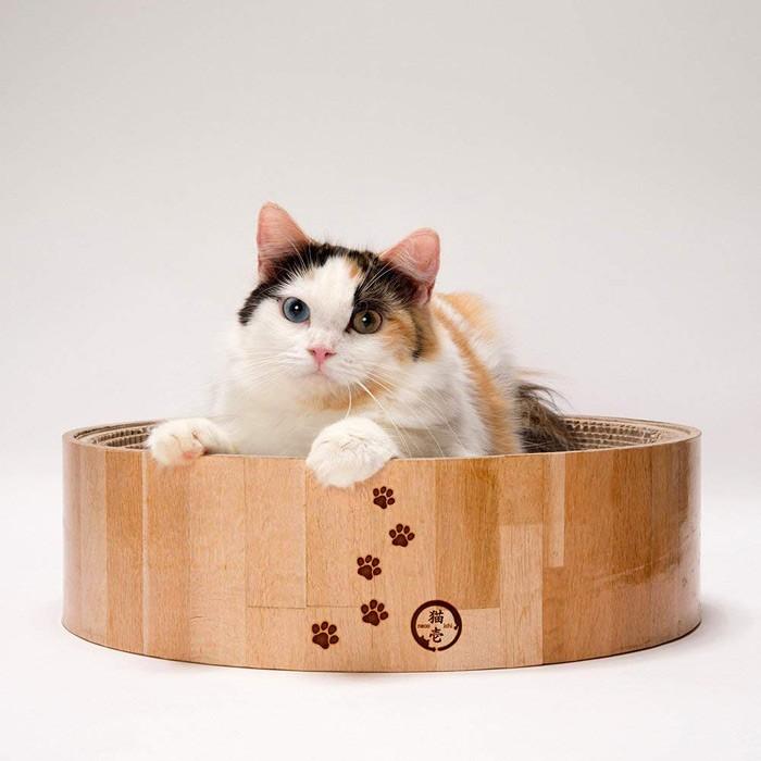 猫壱 バリバリボウル 猫柄 丸型爪とぎベッド 猫用爪とぎ :4580471863435:ペットガーデン紀三井寺 ヤフー店 - 通販 - Yahoo!ショッピング 猫壱 バリバリボウル 猫柄 丸型爪とぎベッド 猫用爪とぎ :4580471863435:ペットガーデン紀三井寺 ヤフー店 - 通販 - Yahoo!ショッピング