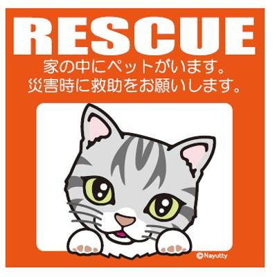 Leaps RESCUE (レスキュー) ペットステッカー アメショー