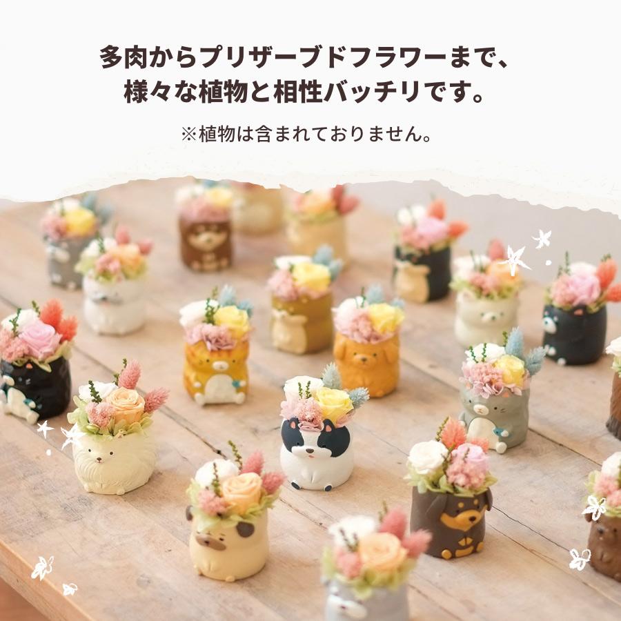 ミニ 植木鉢 リトルレジンポット チワワ 2色セット 穴なし 1号ポット用