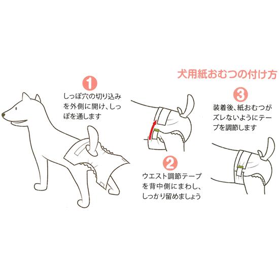 ペティオ Zuttone 老犬介護用 紙おむつ L 中型犬用 16枚 犬用オムツ Lp ペットガーデン紀三井寺 ヤフー店 通販 Yahoo ショッピング