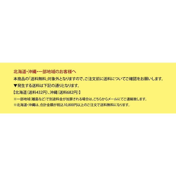 ペット壁保護シート はがせる弱粘着タイプ 半透明 46cm×20m 業務用 猫 ペット壁保護シート はがせる弱粘着タイプ 半透明 46cm×20m 業務用 猫