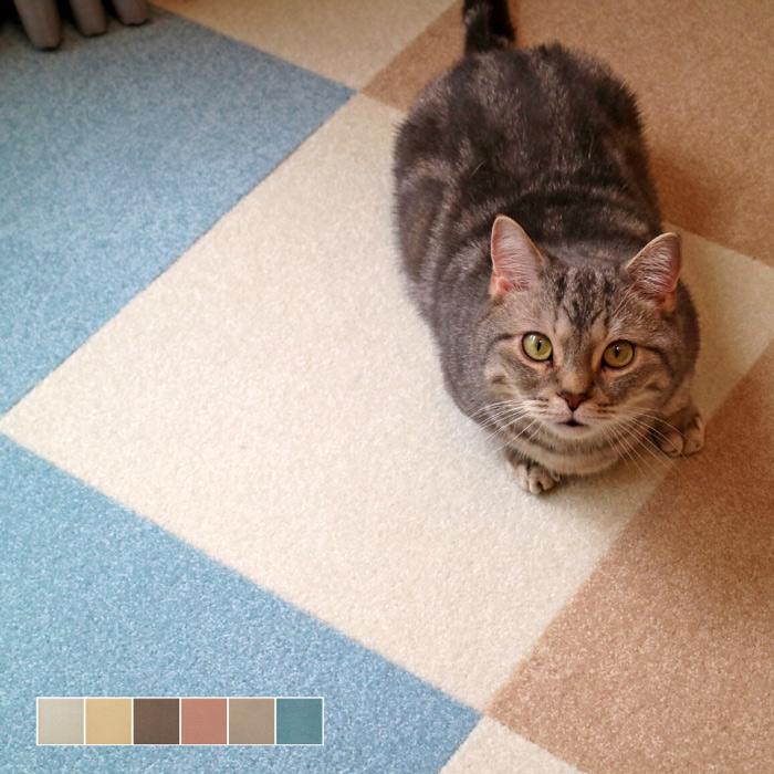 東リ（TOLI） ウィズペットフロア 40cm×40cm 10枚入 はっ水 防汚