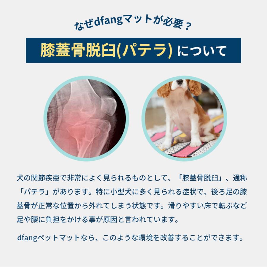 dfang ペット専用防水クッションマット 折りたためるタイプ 廊下 70