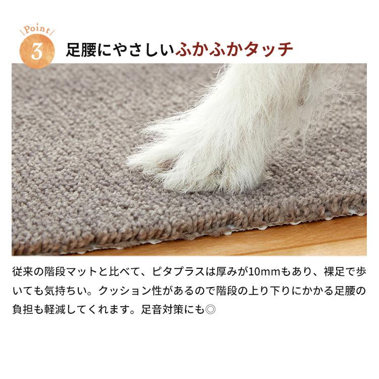 ジョイントペットラグ ピタペトモ ミニ 階段マット 22×45cm 5枚入 |  | 04