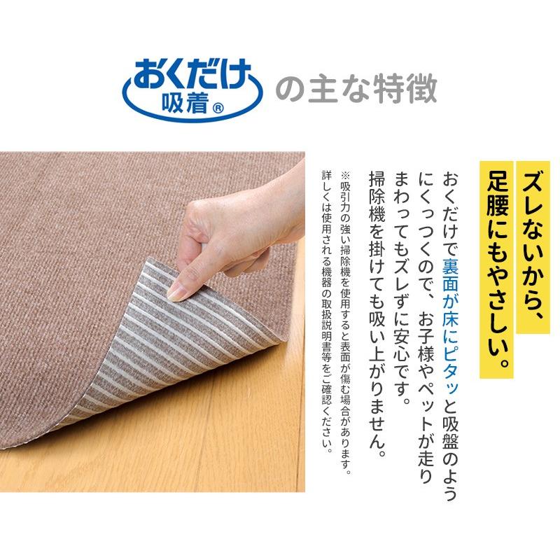 おくだけ吸着 吸着撥水プレミアムマット ループ 30×30cm　同色100枚入 犬用カーペット | サンコー | 05