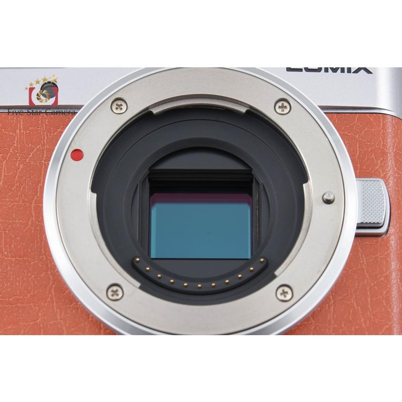LUMIX DC-GF10 オレンジ/シルバー本体のみ LUMIX G ミラーレスカメラ オレンジ/シルバー 4k 付属品有り 一眼レフ