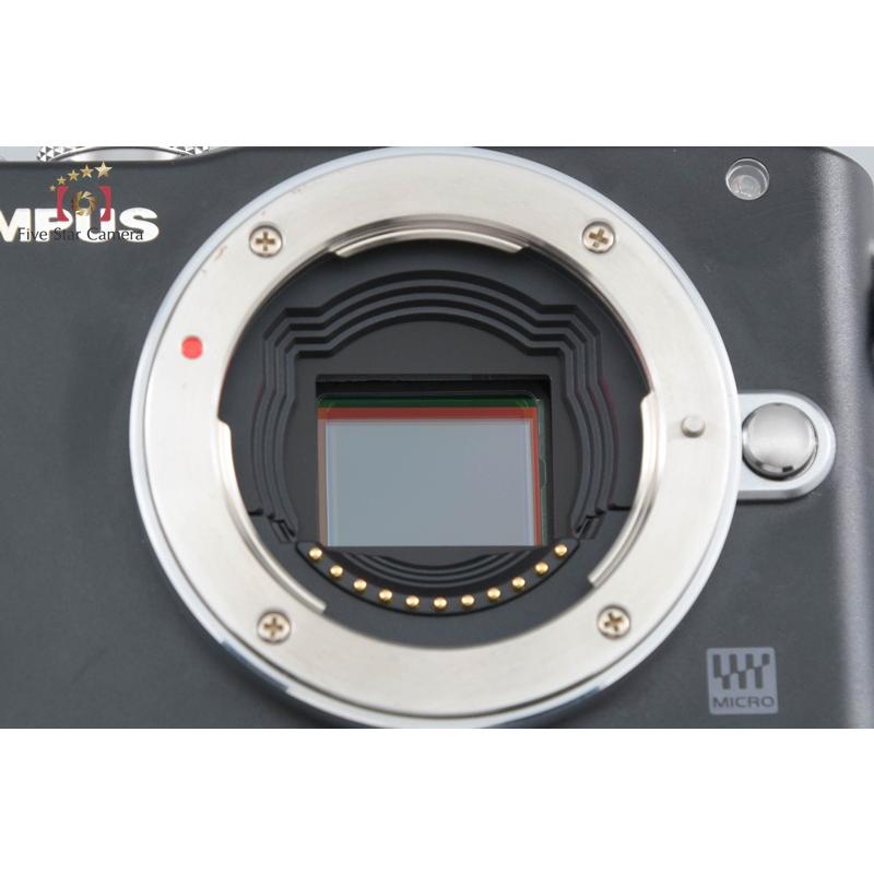 ほぼ新品 シャッター数315回 OLYMPUS PEN Lite E-PL6 【公式通販】