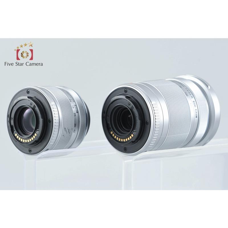 ほぼ新品 シャッター数315回 OLYMPUS PEN Lite E-PL6 【公式通販】