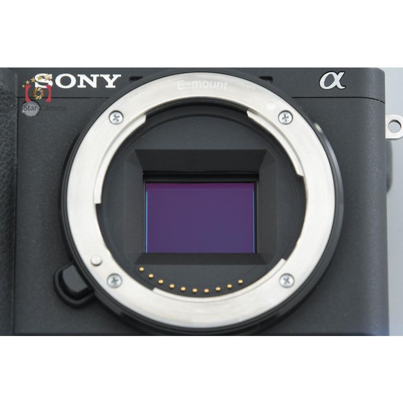 SONY（ソニー） 【中古】SONY α6600 ILCE-6600 ミラーレス一眼カメラ