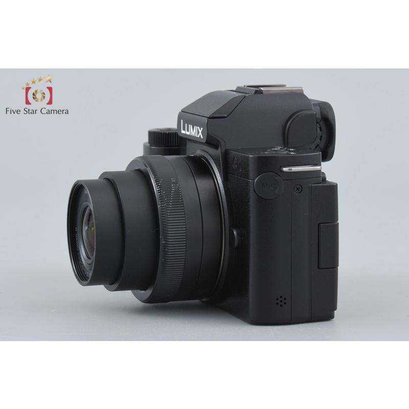 パナソニック Panasonic LUMIX DC-G100V ミラーレス一眼カメラ 元箱