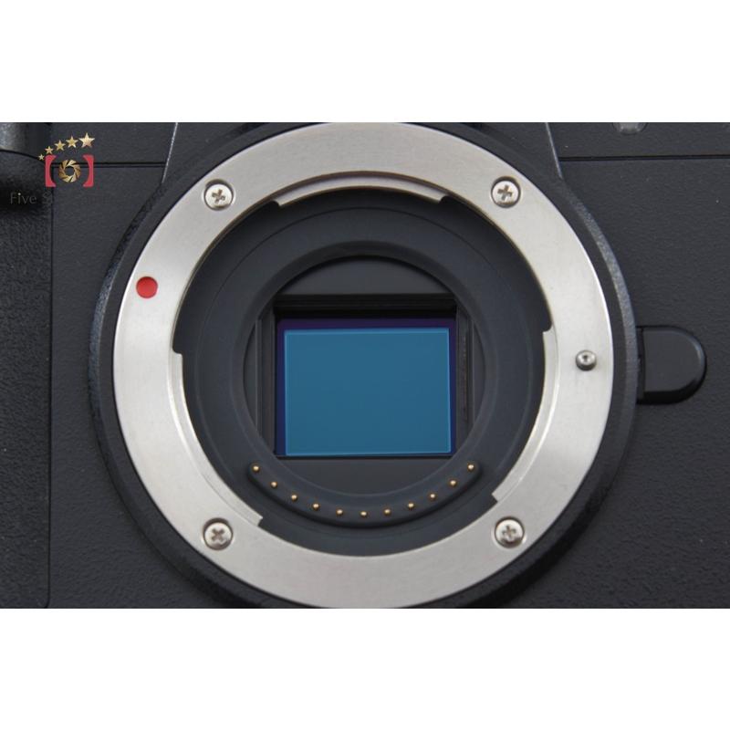 Panasonic（パナソニック） 【中古】Panasonic LUMIX DC-G100V 標準