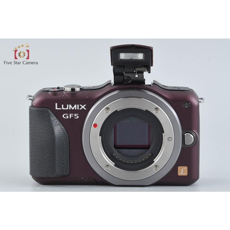Panasonic（パナソニック） 【中古】Panasonic LUMIX DMC-GF5 14-42mm