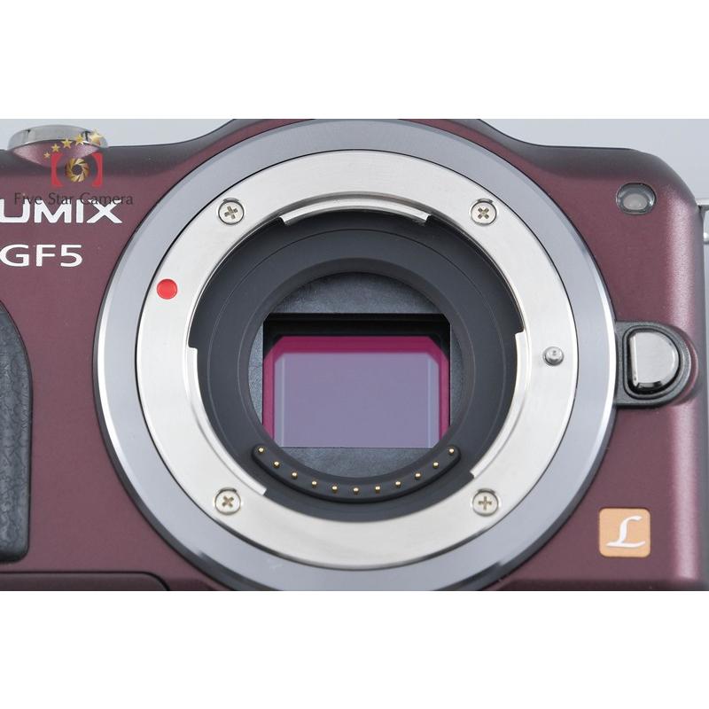 Panasonic（パナソニック） 【中古】Panasonic LUMIX DMC-GF5 ブラウン