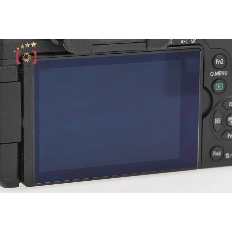 LUMIX 【中古】Panasonic パナソニック DMC-G8 + DMW-BGG1 バッテリー