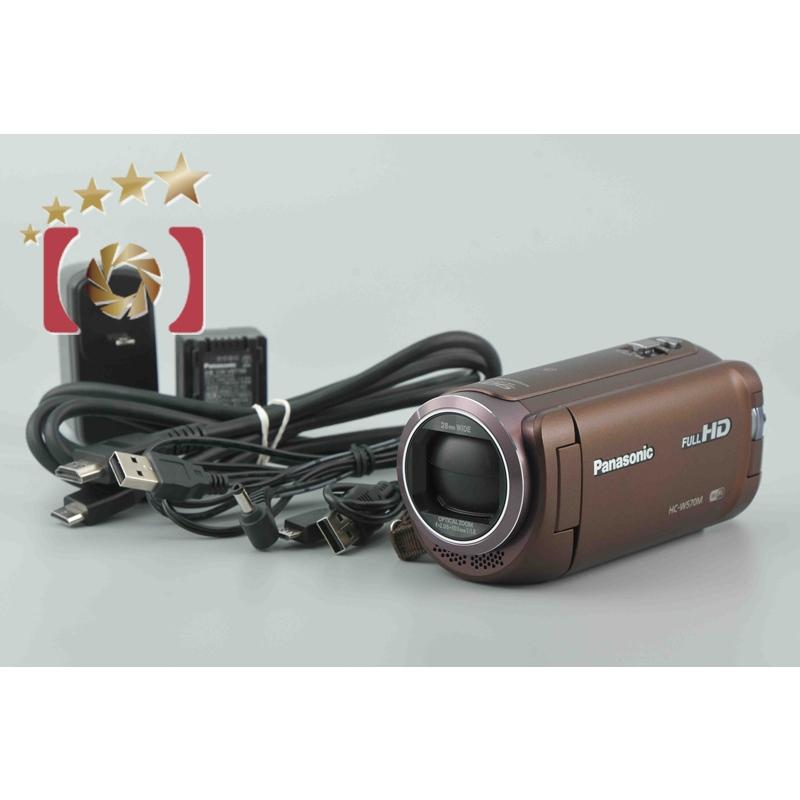 概要 デジタルハイビジョンビデオカメラ HC-W570M | デジタル