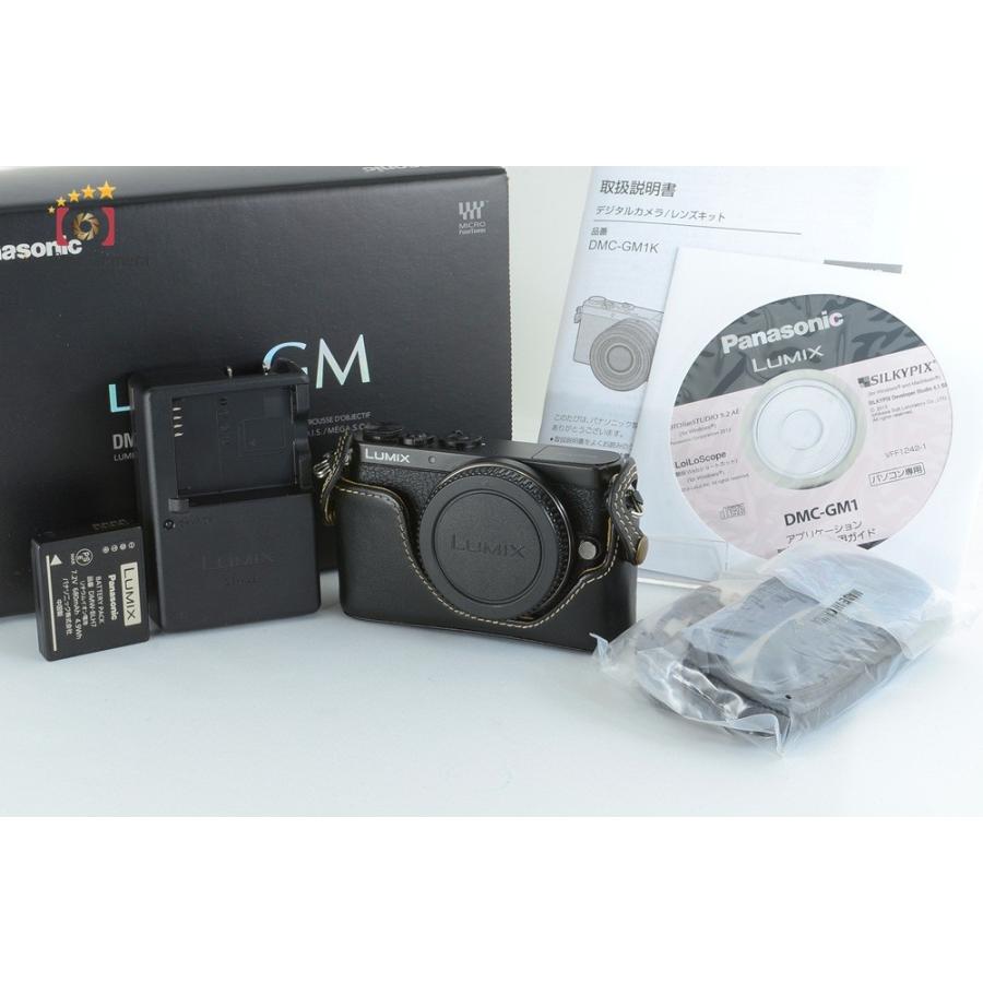 LUMIX 【中古】 Panasonic パナソニック DMC-GM1 ミラーレス一眼