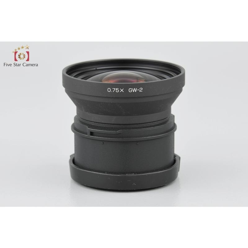 リコー 【中古】RICOH GW-2 ワイドコンバージョンレンズ 0.75X + リコー 【中古】RICOH GW-2 ワイドコンバージョンレンズ 0.75X +