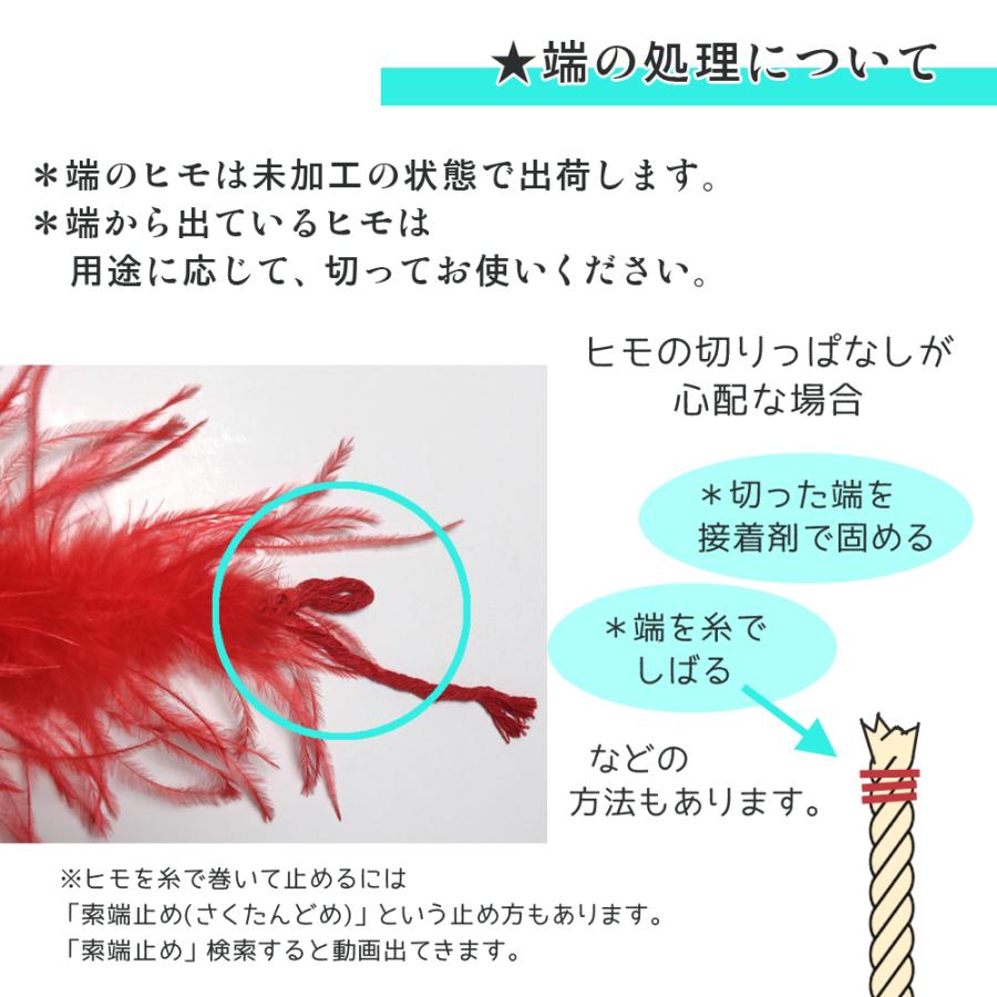 1PLY/オーストリッチ 羽毛 フロート ハンドメイド材料 社交 1PLY/オーストリッチ 羽毛 フロート ハンドメイド材料 社交