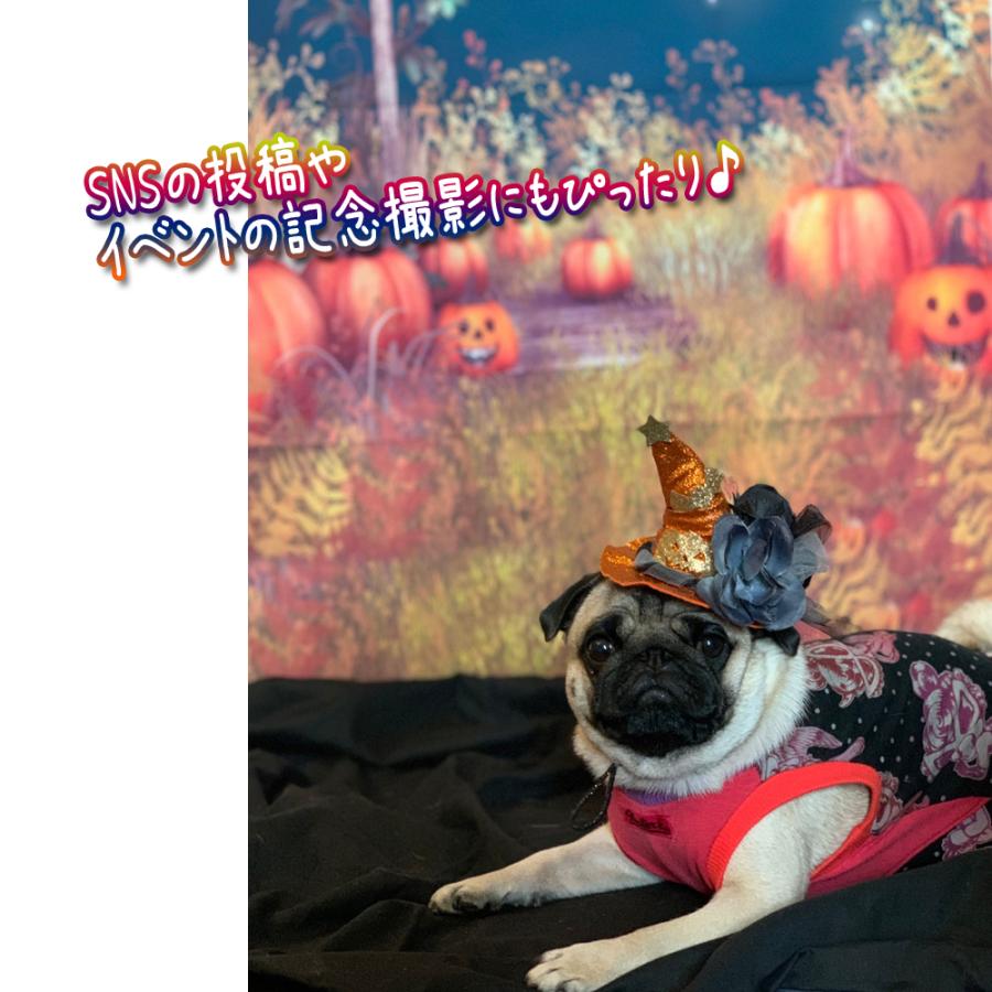 送料無料】【125×80cm】B☆ハロウィン 背景 タペストリー 飾り