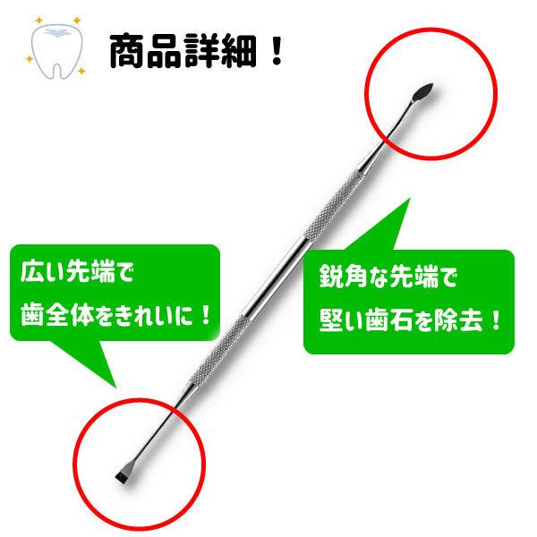 【レビューを書いてメール便送料無料】ペット用 歯石取り 安全 口腔ケア 器具 スケーラー 犬用 猫用 犬 猫 ネコ 虫歯 虫歯予防 歯周病  虫歯痛み ヤニ取り |  | 04